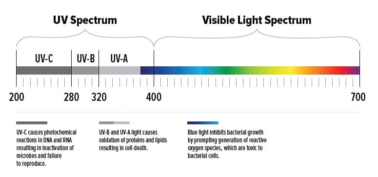 UV disinfection spectrum